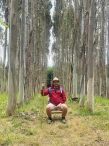 Man sitting amongst eucalyptus plants